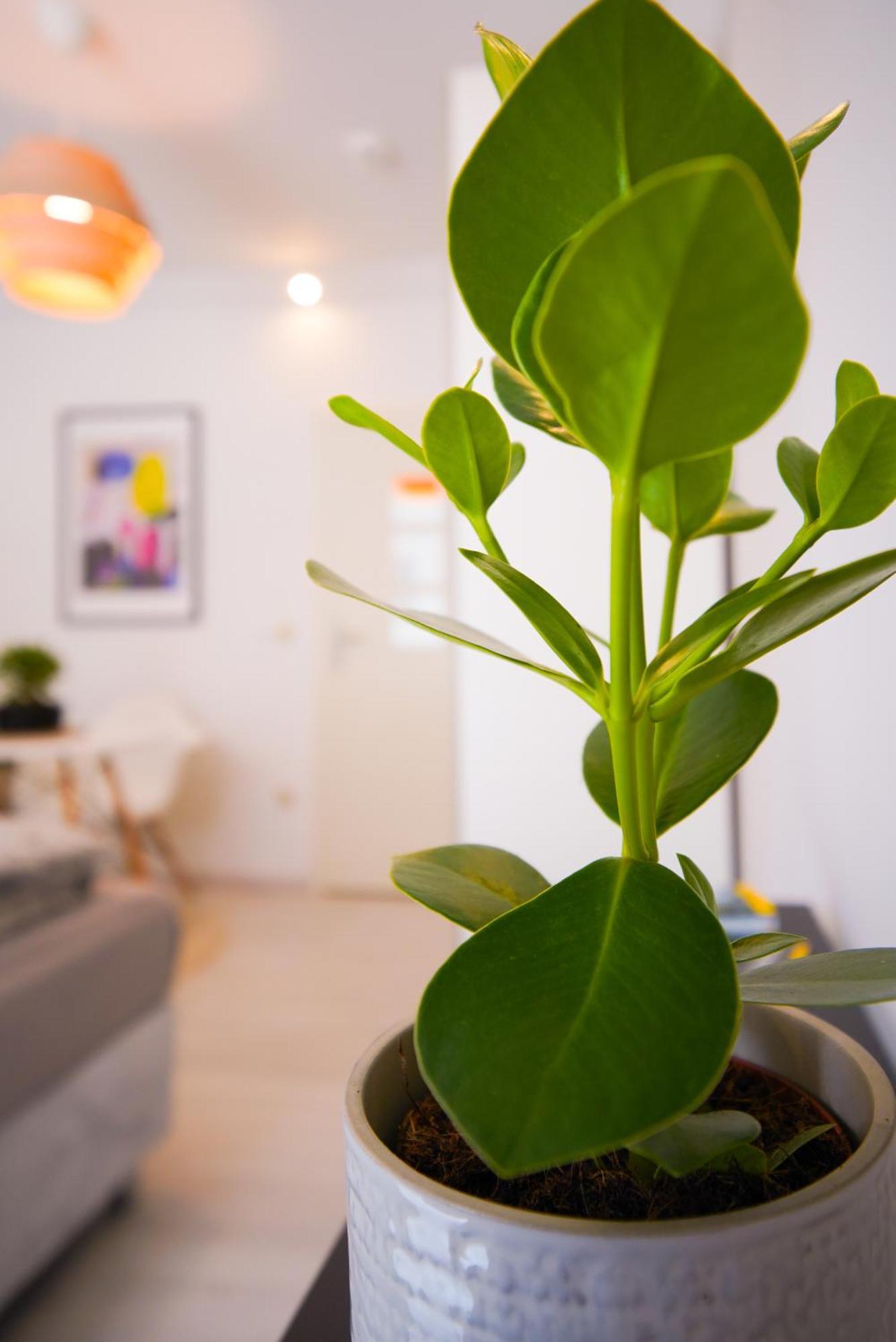 Stilvolles Apartment Im Laessigsten Viertel München Eksteriør billede